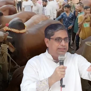 কোরবানির গরুর হাটে এবার চাঁদাবাজি চলবে না: কঠোর হুঁশিয়ারি প্রতিমন্ত্রীর