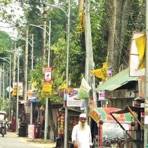 বেশি বিদ্যুৎ খরচের অজুহাতে জ্বালানো হচ্ছে না এলইডি বাতি