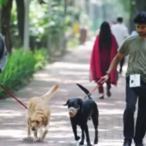 দেশে প্রথম গুলশান পার্কে পোষা কুকুর নিয়ে হাঁটার অনুমতি