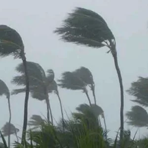 রাতের মধ্যে দেশের ৭ অঞ্চলে কালবৈশাখী ঝড়ের শঙ্কা