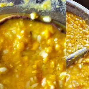 স্কুলের খাবারে মিললো ‘মরা সাপ’, হাসপাতালে শতাধিক শিক্ষার্থী