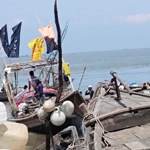 নিষেধাজ্ঞা শেষে নদীতে নেমে খালি হাতে ফিরছেন ভোলার জেলেরা