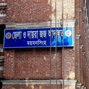 হত্যা মামলার ১৮ বছর পর তিন ভাইয়ের যাবজ্জীবন