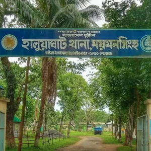 প্রতিবন্ধী শিশুকে ধর্ষণের অভিযোগে একজনকে গ্রেপ্তার