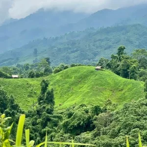 তিন মাসে ৬ খুন: পাহাড়ে সশস্ত্র গ্রুপগুলোর পাল্টাপাল্টি হত্যায় বাড়ছে আতঙ্ক