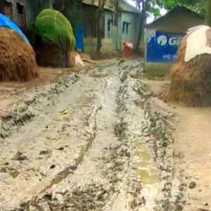 আতিয়ারা আর কতকাল মরবে!