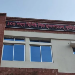 প্রধানমন্ত্রীর নির্দেশের পর কুমিল্লা শিশু হাসপাতাল চালু করতে তোড়জোড়