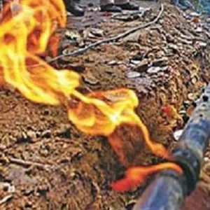 নারায়ণগঞ্জে বিদ্যুৎকেন্দ্রের ক্যান্টিনে গ্যাস লিকেজ বিস্ফোরণ, দগ্ধ ১২