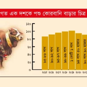 বড় হচ্ছে কোরবানির বাজার