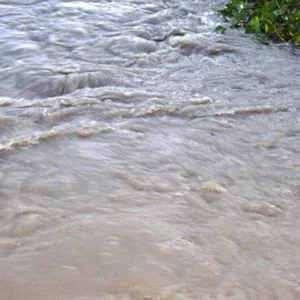 নদীতে পড়ে যাওয়া জুতা নিতে গিয়ে স্রোতে ভেসে গেছে ৭ বছরের শিশু