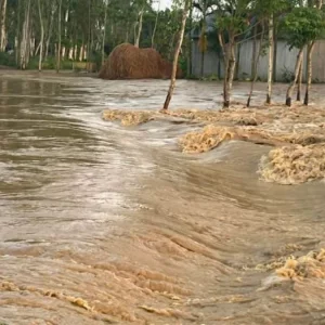 শেরপুরে চেল্লাখালী নদীর বাঁধে ভাঙন, প্লাবিত নিম্নাঞ্চল