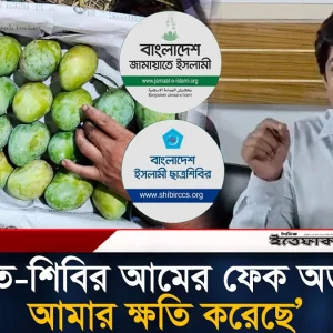 জামায়াত-শিবির আমের ফেক অর্ডার দিয়ে আমার ক্ষতি করেছে: তারেক রহমান