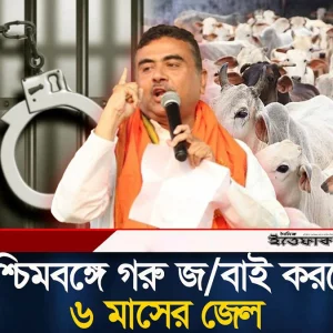 পশ্চিমবঙ্গে গরুসহ সব ধরনের পশু জ/বাই নিষিদ্ধ করলো বিজেপি সরকার