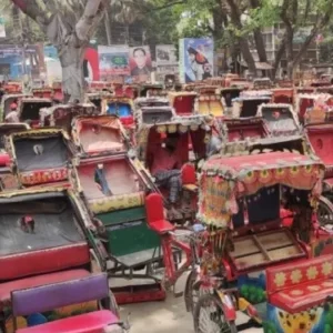 ব্যাটারিচালিত রিকশার ওপর অগ্রিম আয়কর আরোপের পরিকল্পনা