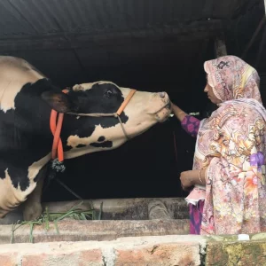 জামালপুরের জমিদার বিক্রি হবে ঢাকায়, তাজা খাবার ছাড়া মুখে নেয় না কিছুই
