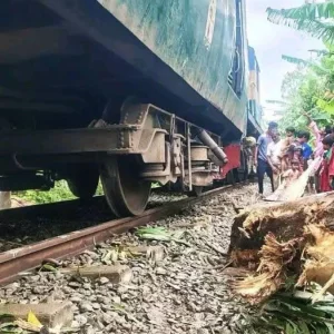 রেললাইনে পড়ে থাকা গাছের ডালে ধাক্কা লেগে লাইনচ্যুত যাত্রীবাহী ট্রেন 