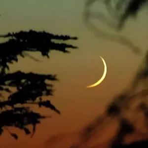 আফগানিস্তানে দেখা যায়নি ঈদের চাঁদ