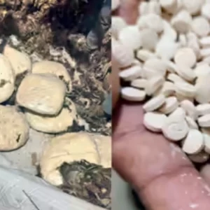 ভারতে প্রথমবার ‘জিহাদি ড্রাগ’ ক্যাপ্টাগন উদ্ধার, নেপথ্যে কারা