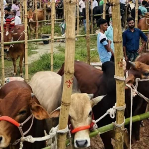 কোরবানি কখন, কার ওপর ওয়াজিব?