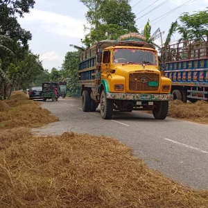 ময়মনসিংহে সড়ক-মহাসড়ক এখন ‘ধানের চাতাল’, বাড়ছে দুর্ঘটনার ঝুঁকি