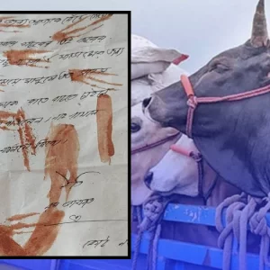 খামারিদের বাড়িতে বাড়িতে রক্তমাখা চিঠি—‘ডাকাতি করতে আসবো’