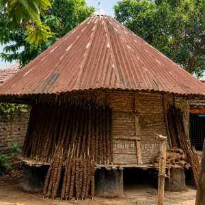 বিলুপ্তির পথে ঐতিহ্যবাহী ধানের গোলা