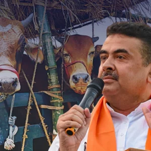 পশ্চিমবঙ্গে কোরবানির বাজারে হাহাকার, শিগগিরই সিদ্ধান্ত নেবেন শুভেন্দু