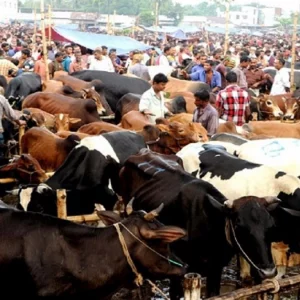 দুই সিটির ২৭টি হাটের মধ্যে ১৯টির ইজারা সম্পন্ন