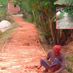 নতুন ইট বিছিয়ে রাস্তা মেরামত করলেন সেই ইউপি মেম্বার