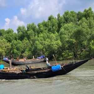সুন্দরবনের ১২ জেলেকে ধরে নিয়ে গেছে ‘জাহাঙ্গীর বাহিনী’