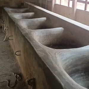 ‘গরুগুলা বিক্রি কইরা ঋণ শোধের কথা আছিল’