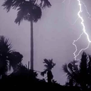 নওগাঁয় বজ্রপাতে দাদা-নাতিসহ তিনজনের মৃত্যু