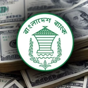 কোরবানির আগে রেমিট্যান্সে চাঙা দেশ, ২০ দিনে এলো ২৬২ কোটি ডলার
