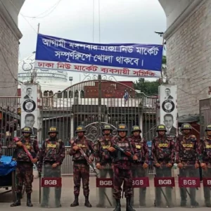 ঢাকাসহ আশপাশের জেলায় বিজিবি মোতায়েন