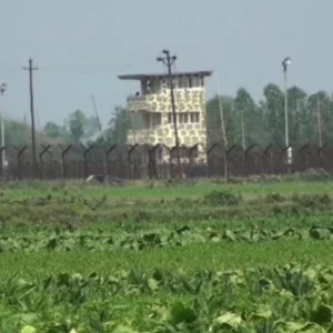 সীমান্তে ভারতীয় চোরাকারবারীদের লক্ষ্য করে বিজিবির গুলি