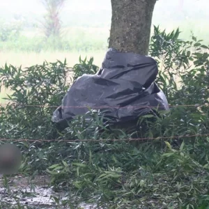 ময়মনসিংহে গাছে বাঁধা দুই হাত-বুকে কোপের চিহ্ন, মাথা পড়ে ছিল পায়ের কাছে