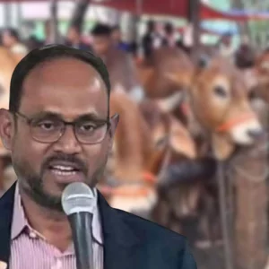 চোরাই পথে গরু প্রবেশ ঠেকাতে সর্বোচ্চ প্রস্তুত বিজিবি: প্রাণিসম্পদ প্রতিমন্ত্রী