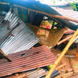 শেরপুরে ঝড়ের তাণ্ডব: ভেঙে পড়লো ঘরবাড়ি, বৃদ্ধা নিহত