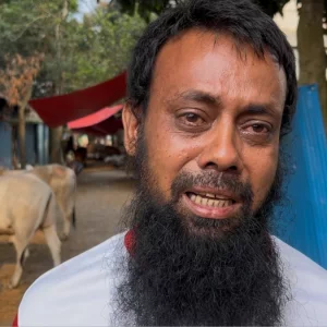 ফেনীতে র‍্যাব ক্যাম্পের পাশ থেকে অস্ত্রের মুখে গরু ছিনতাই 