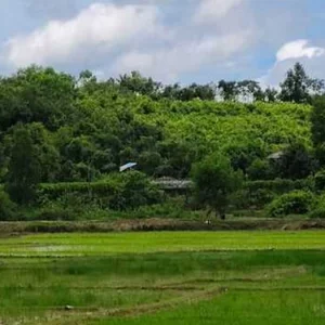 মিয়ানমার সীমান্তে মাইন বিস্ফোরণে ৩ বাংলাদেশি নিহত