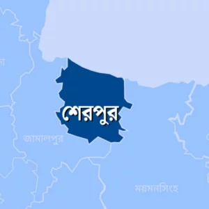 শেরপুরে শিশুকে ধর্ষণ ও গর্ভপাতের অভিযোগে একজনকে গ্রেপ্তার