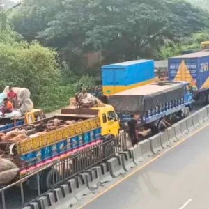ঢাকা-চট্টগ্রাম মহাসড়কের গজারিয়ায় ১৩ কিলোমিটার যানজট, চরম ভোগান্তি