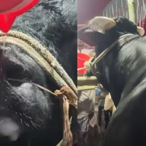 খায় আর বেশি চিল্লায়, নাম তার ‘নাসীরুদ্দীন পাটওয়ারী’