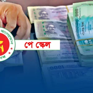 নবম পে স্কেল: বেসিকের হাফ বেতনে কোন গ্রেডে কত বাড়ছে