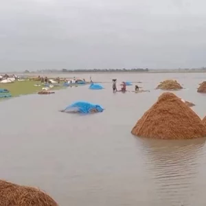 ঈদের আগে সিলেটের ফসলহারা কৃষকের সরকারি সহায়তা পাওয়ার আশা কম