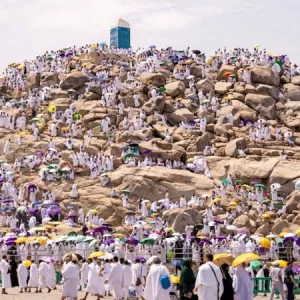 আরাফার দিনের শ্রেষ্ঠ দোয়া ও ফজিলত