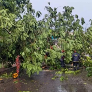 ঝড়-বৃষ্টিতে জলাবদ্ধ ঢাকার বিভিন্ন এলাকা, উপড়ে পড়েছে গাছ