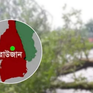 কালবৈশাখী ঝড়ে গাছ পড়ে চট্টগ্রামে অটোরিকশা চালকের মৃত্যু
