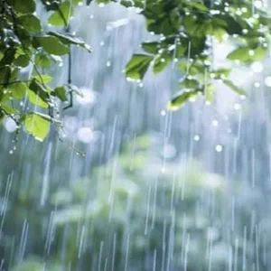 কেমন থাকবে ঈদের দিনের আবহাওয়া? 