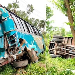 বগুড়ায় পৃথক সড়ক দুর্ঘটনায় নিহত ৩